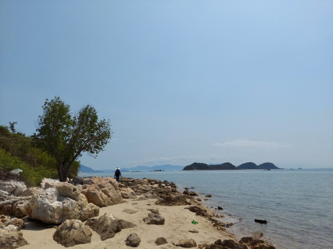 Một gốc đảo Điệp Sơn (Hòn Bịp) trên Vịnh Vân Phong